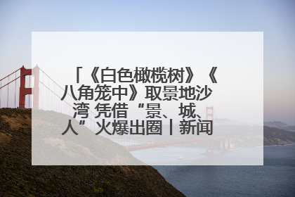 《白色橄榄树》《八角笼中》取景地沙湾 凭借“景、城、人”火爆出圈丨新闻发布最前线