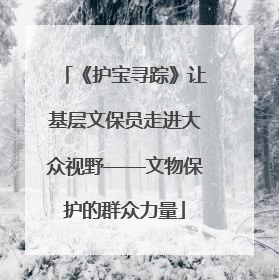 《护宝寻踪》让基层文保员走进大众视野——文物保护的群众力量