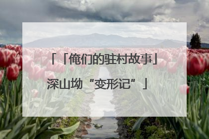 「俺们的驻村故事」深山坳“变形记”