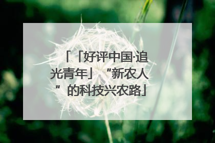 「好评中国·追光青年」“新农人”的科技兴农路