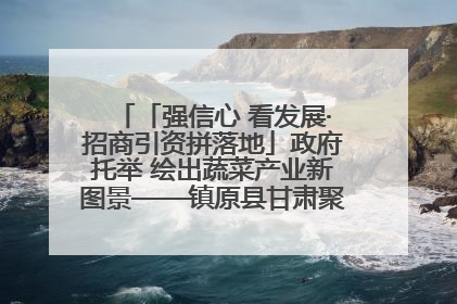 「强信心 看发展·招商引资拼落地」政府托举 绘出蔬菜产业新图景——镇原县甘肃聚广利现代设施蔬菜种植基地见闻