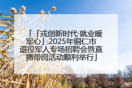 「戎创新时代·就业暖军心」2025年铜仁市退役军人专场招聘会暨直播带岗活动顺利举行