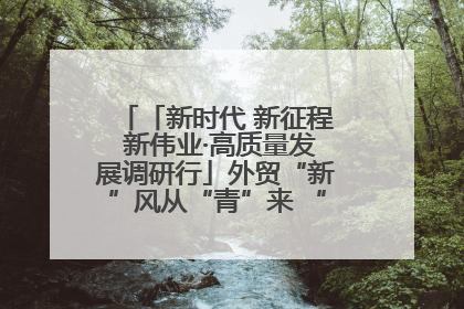 「新时代 新征程 新伟业·高质量发展调研行」外贸“新”风从“青”来 “双向奔赴”启新程