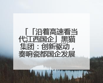 「沿着高速看当代江西国企」黑猫集团：创新驱动，奏响瓷都国企发展新乐章