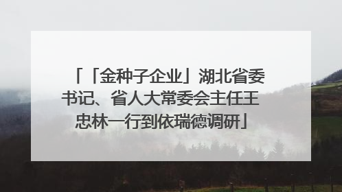 「金种子企业」湖北省委书记、省人大常委会主任王忠林一行到依瑞德调研