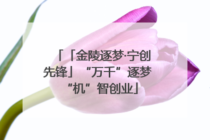 「金陵逐梦·宁创先锋」“万千”逐梦 “机”智创业