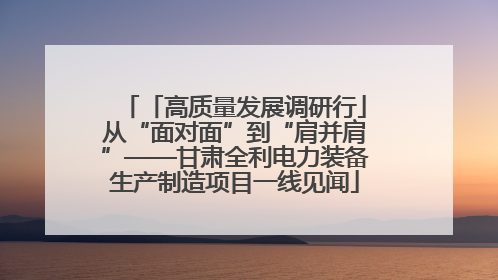 「高质量发展调研行」从“面对面”到“肩并肩”——甘肃全利电力装备生产制造项目一线见闻