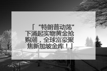 “特朗普动荡”下涌起实物黄金抢购潮，全球富豪聚焦新加坡金库！