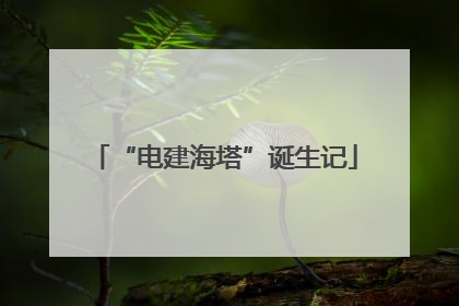 “电建海塔”诞生记