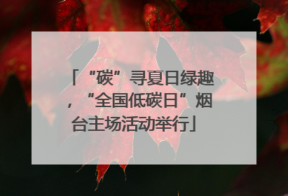 “碳”寻夏日绿趣，“全国低碳日”烟台主场活动举行