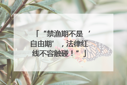 “禁渔期不是‘自由期’，法律红线不容触碰！”