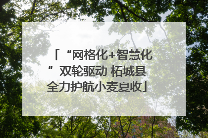 “网格化+智慧化”双轮驱动 柘城县全力护航小麦夏收