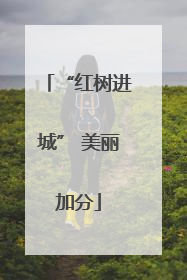 “红树进城” 美丽加分