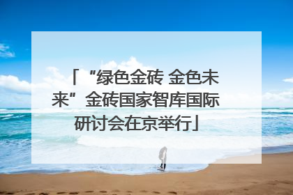 “绿色金砖 金色未来”金砖国家智库国际研讨会在京举行