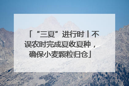“三夏”进行时丨不误农时完成夏收夏种，确保小麦颗粒归仓