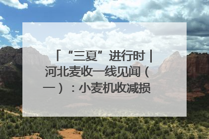 “三夏”进行时｜河北麦收一线见闻（一）：小麦机收减损“竞技” 农机高手麦田“过招”