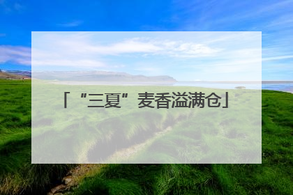 “三夏”麦香溢满仓