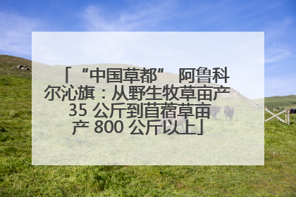 “中国草都” 阿鲁科尔沁旗：从野生牧草亩产 35 公斤到苜蓿草亩产 800 公斤以上