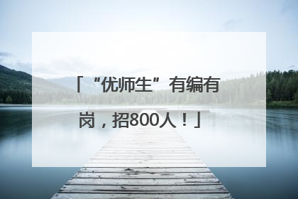 “优师生”有编有岗，招800人！