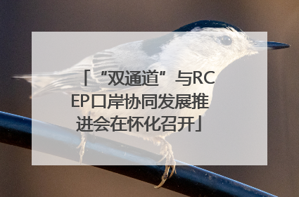 “双通道”与RCEP口岸协同发展推进会在怀化召开
