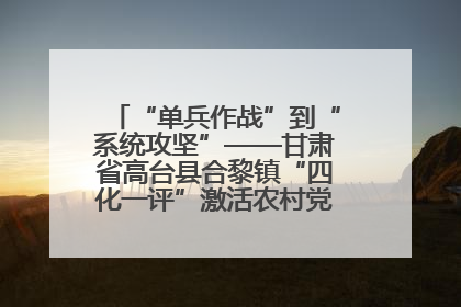 “单兵作战”到“系统攻坚”——甘肃省高台县合黎镇“四化一评”激活农村党员管理新引擎