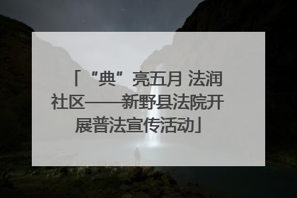“典”亮五月 法润社区——新野县法院开展普法宣传活动