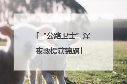 “公路卫士”深夜救援获锦旗