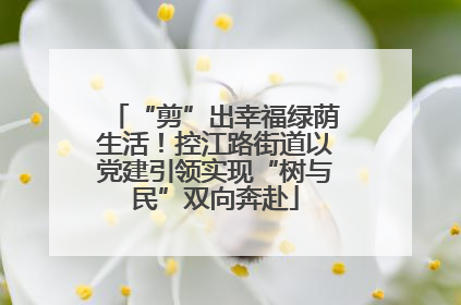 “剪”出幸福绿荫生活！控江路街道以党建引领实现“树与民”双向奔赴