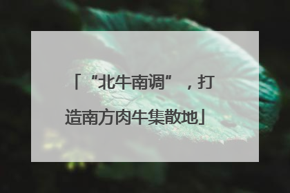 “北牛南调”，打造南方肉牛集散地