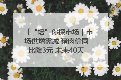 “培”你探市场｜市场供增需减 猪肉价同比降3元 未来40天便宜猪肉敞开吃