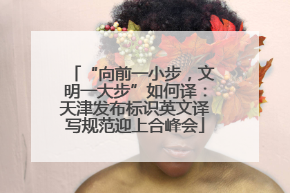 “向前一小步，文明一大步”如何译：天津发布标识英文译写规范迎上合峰会