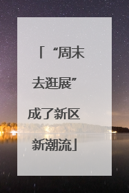 “周末去逛展”成了新区新潮流