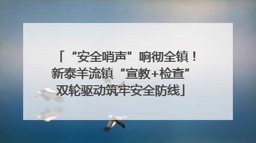 “安全哨声”响彻全镇！新泰羊流镇“宣教+检查”双轮驱动筑牢安全防线