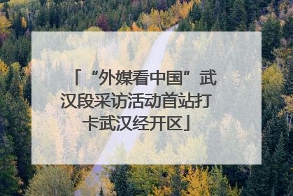 “外媒看中国”武汉段采访活动首站打卡武汉经开区
