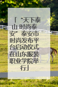 “天下泰山 时尚泰安”泰安市时尚发布平台启动仪式在山东服装职业学院举行