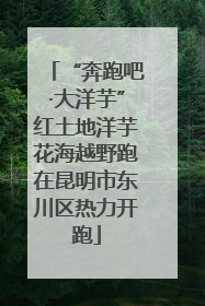 “奔跑吧·大洋芋”红土地洋芋花海越野跑在昆明市东川区热力开跑