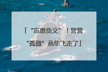 “忘恩负义”！警营“孤傲”燕隼飞走了