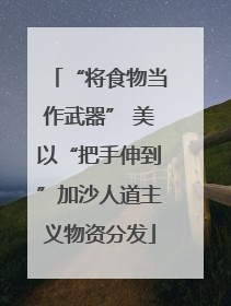 “将食物当作武器” 美以“把手伸到”加沙人道主义物资分发