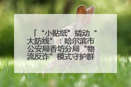 “小贴纸”撬动“大防线”：哈尔滨市公安局香坊分局“物流反诈”模式守护群众“钱袋子”