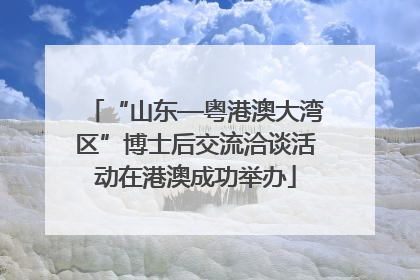 “山东—粤港澳大湾区”博士后交流洽谈活动在港澳成功举办