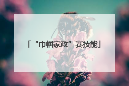 “巾帼家政”赛技能