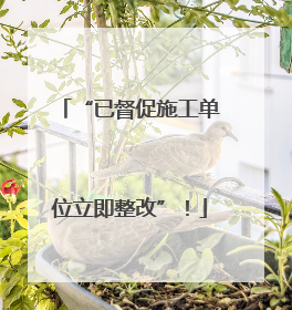“已督促施工单位立即整改”！