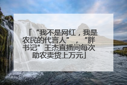 “我不是网红，我是农民的代言人”，“胖书记”王杰直播间每次助农卖货上万元