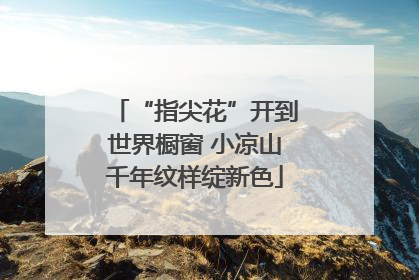 “指尖花”开到世界橱窗 小凉山千年纹样绽新色
