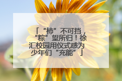 “柿”不可挡，“粽”望所归！徐汇校园用仪式感为少年们“充能”