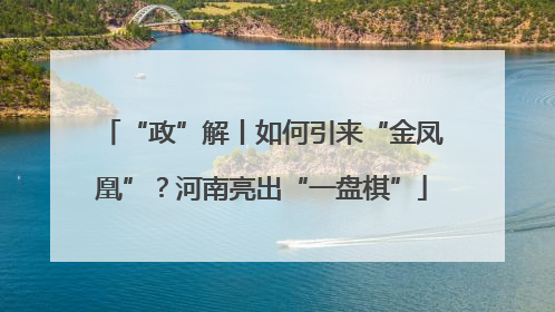 “政”解丨如何引来“金凤凰”？河南亮出“一盘棋”