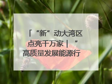 “新”动大湾区 点亮千万家｜“高质量发展能源行”系列报道③