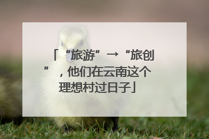 “旅游”→“旅创”，他们在云南这个理想村过日子