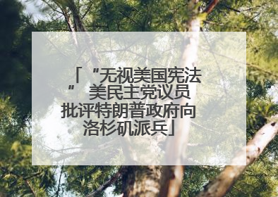 “无视美国宪法” 美民主党议员批评特朗普政府向洛杉矶派兵