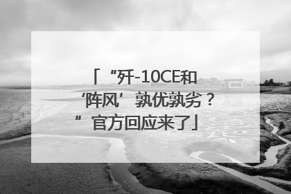 “歼-10CE和‘阵风’孰优孰劣？”官方回应来了